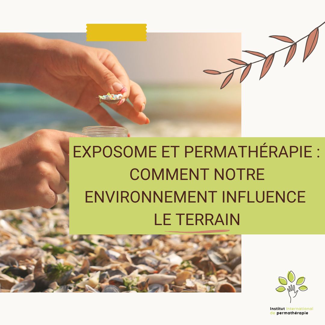 Découvrez comment l'exposome influence notre santé et explorez le concept de permathérapie pour améliorer votre santé